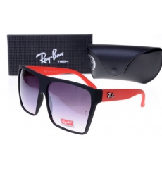 Ray-ban Glasses-1003