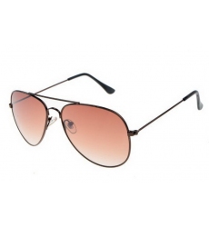 Ray-ban Glasses-1463